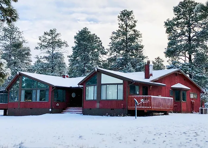Lynx Holiday home *