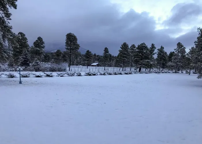 Lynx Holiday home *