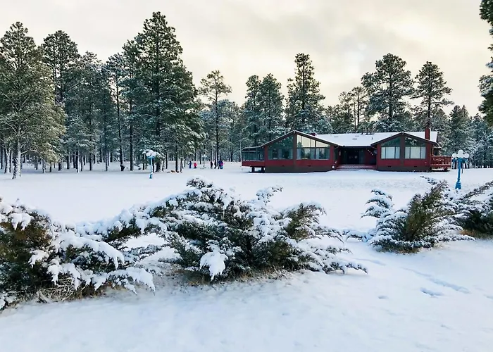 Lynx Holiday home